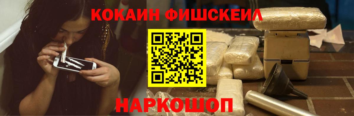 КОКАИН Fish Scale  Вход с VPN  Чайковский  COCAIN Fish Scale 
