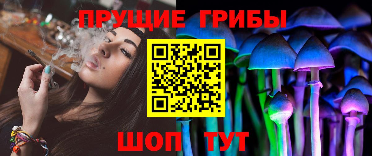 Псилоцибиновые грибы GOLDEN TEACHER Чайковский